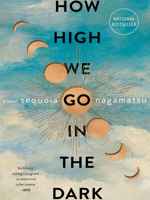 cover image of How High We Go in the Dark